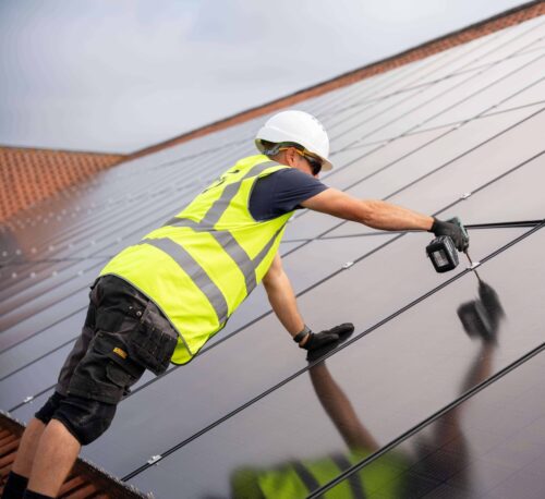 DPL web 53 scaled e1697451352252