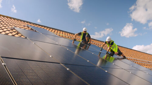 DPL Stills web 45 scaled