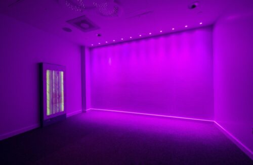 Sir Peter Hall School 24